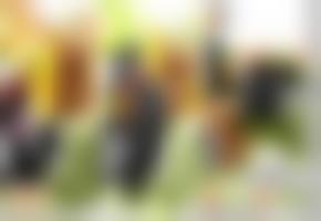 日本道欧美高&#