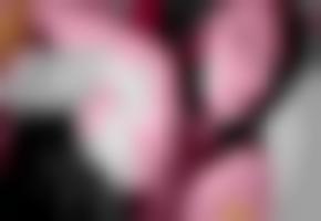 2018欧美极ࡹ