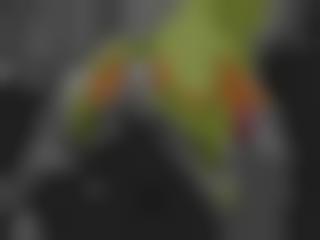 恰红院院院首页全部免费