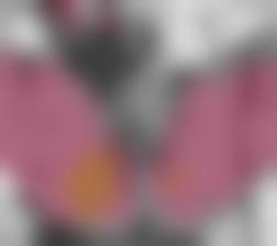 午夜神马三级下马版
