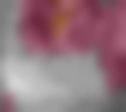 留学生刘玥28
