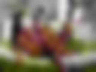 国产网红鹿合集mp4迅雷下载