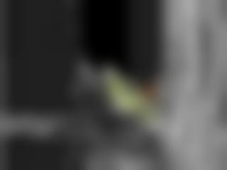 免费成年三级片亚洲高清