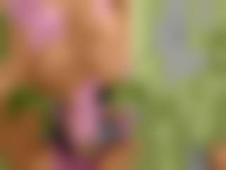 2018老鸭窝ࣧ