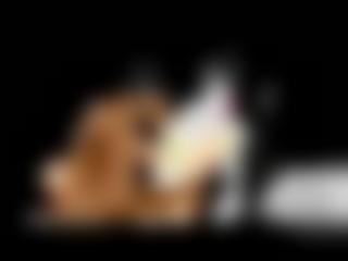 国外熊猫panda安卓版下载