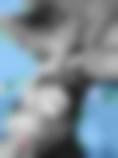 2019韩国精૟