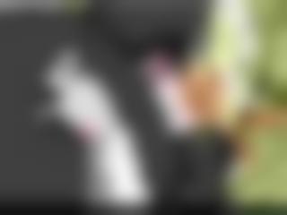 最新汤姆高清&#