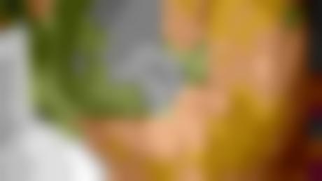 欧美亚洲精品三区