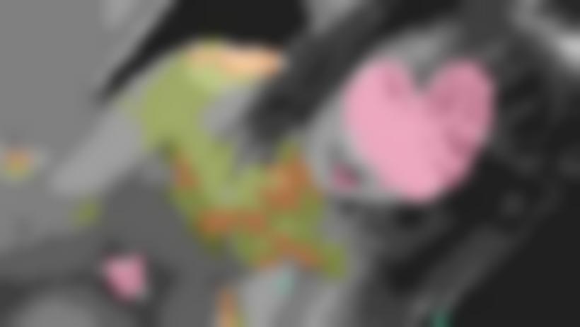 我们立足于美&#