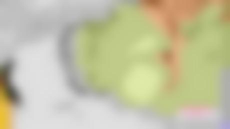 水果视频app黄照片