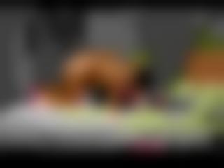 2019最新中文字幕av北美高清