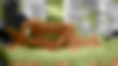 生死决断秋瓷&#