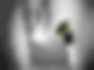光棍电视频在线性感美女直播