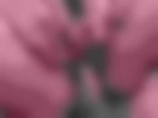求一个免费老&#