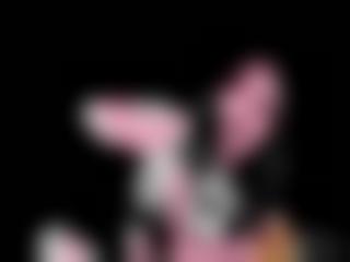 人禽交+欧美+