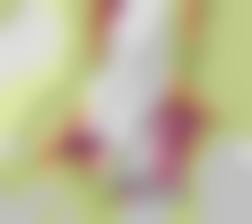 免费国产欧美&#