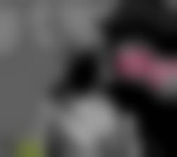 理论离线网站&#