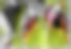 汤姆影院的新网站是什么