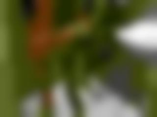 同学聚会午夜&#