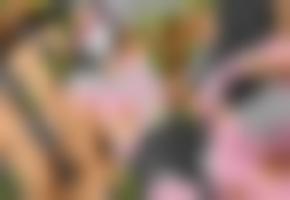 韩国漫画免费&#
