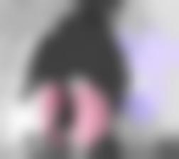 欧美整片给力视频西瓜影院