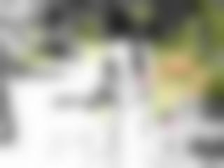 向日葵视频app苹果版下载