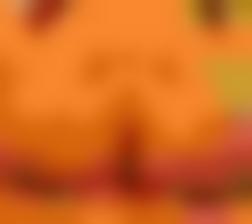 欧美xin爱琪
