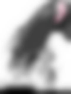 真爱之吻在线&#