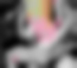 亚洲欧美日韩&#