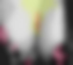 欧美日韩中aÈ