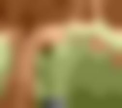 福利区免费体&#