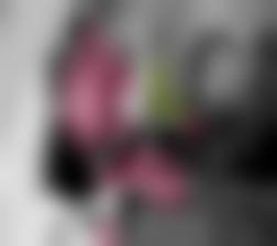 秋霞电影院网伦霞免费