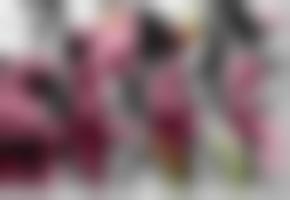 2019最新欧ು