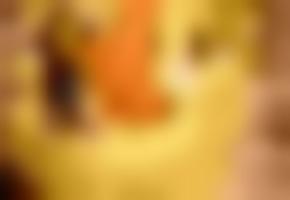 欧美成年人电&#