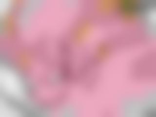 菠萝蜜视频在线观看入口中文字幕