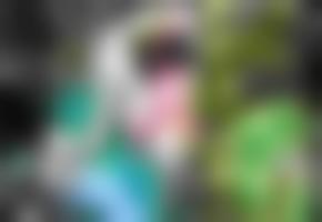 国产国产人免费人成免费视频下载
