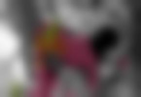 ts女装官网࣪